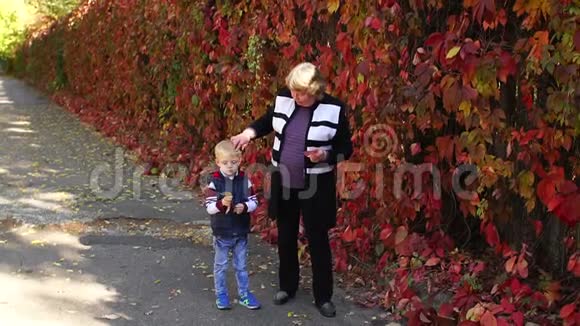 奶奶和孙子在秋天温暖的天气在公园里散步视频的预览图