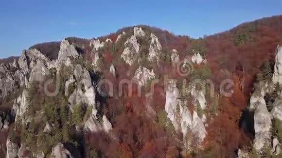 在秋天的森林里飞过悬崖视频的预览图