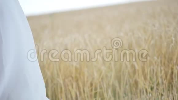 穿着白色衣服的女孩在风中穿过一片麦田慢动作视频的预览图