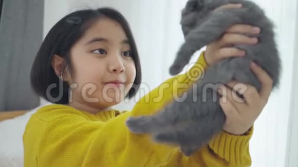可爱的亚洲女孩和可爱的小猫玩耍漂亮的女孩紧紧地抱着一只猫视频的预览图
