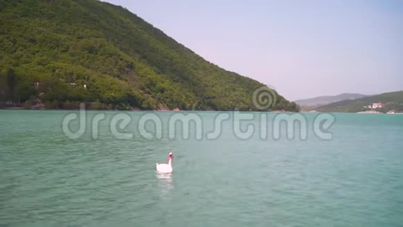 遥远的计划一只美丽的白天鹅在一个美丽的绿松石湖里游泳视频的预览图