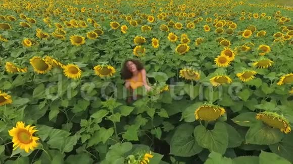 美丽的大葵花田和年轻迷人的卷曲女孩站在一排排植物之间的俯视图视频的预览图