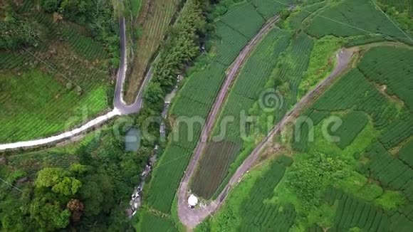 台湾阿里山地区乌龙茶种植区道路电线及其他基础设施鸟瞰图视频的预览图