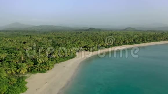 棕榈岛景观加勒比海棕榈树森林白色沙滩背景视频的预览图