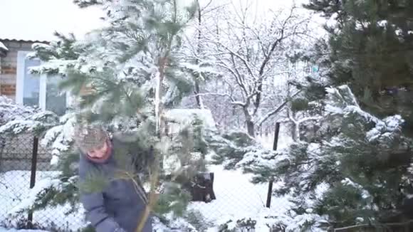 可爱的女人在她的冬季花园里带着一大片松树和雪祝圣诞快乐新年快乐视频的预览图