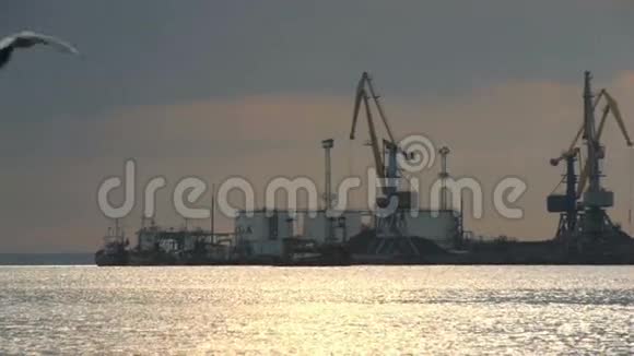 港口码头上的工业起重机视频的预览图