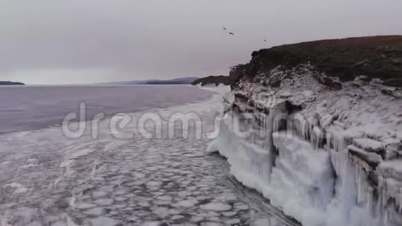 一群鸟飞过冰封的湖面视频的预览图