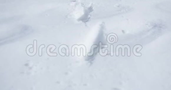 穿蓝衣服的女人在雪地上行走视频的预览图