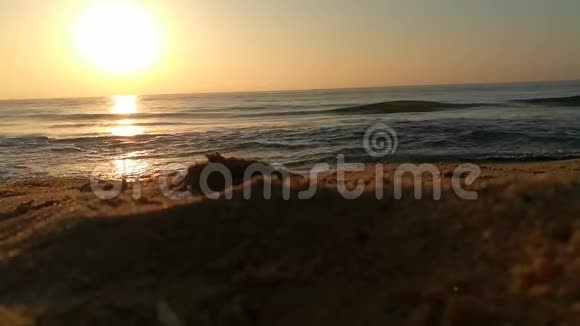 海滩上灿烂的金色夕阳沙滩上的浪花贝壳海洋清澈金色的阳光反射在海滩上孙世宁视频的预览图