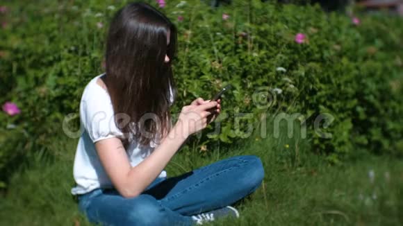 女人在阳光明媚的日子里坐在公园里聊天在手机上输入一条信息侧视视频的预览图