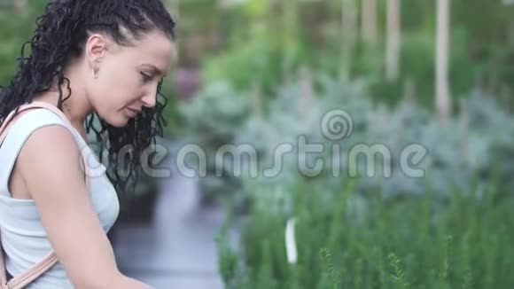 美丽的女孩触摸灌木丛的顶端视频的预览图