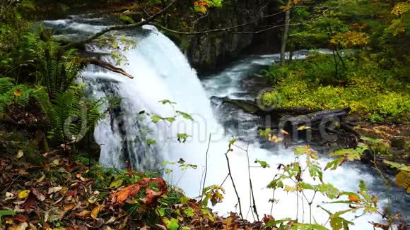 俄拉西峡木瀑布秋景视频的预览图