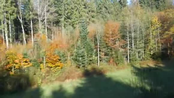 从路过火车的窗户上看到秋天的风景秋天的一棵树上有五颜六色的叶子巴伐利亚景观视频的预览图