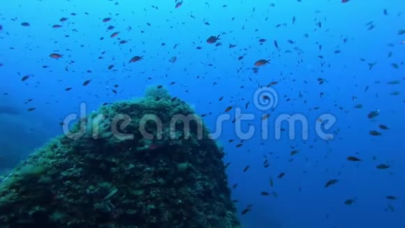 海底图像蓝色海水中的海水视频的预览图
