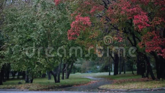 美丽的小巷在五彩缤纷的秋天的雨期1920x1080视频的预览图