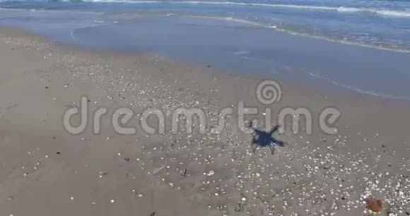 保加利亚波莫里的海浪贝壳沙子视频的预览图