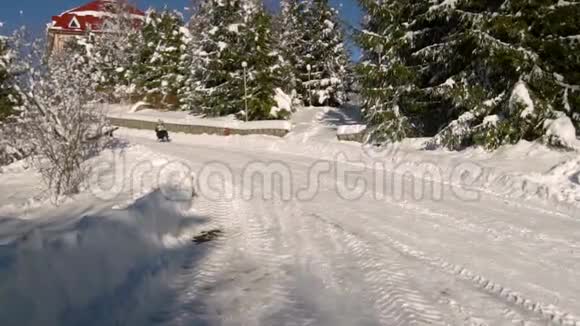 年轻的幸福家庭正在雪地森林里玩得很开心妈妈把她的小儿子卷在雪橇上妈妈和她的小儿子视频的预览图