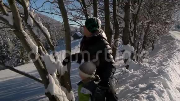 一个年轻的家庭走过白雪覆盖的山林父亲和他的小儿子他们站在树下视频的预览图