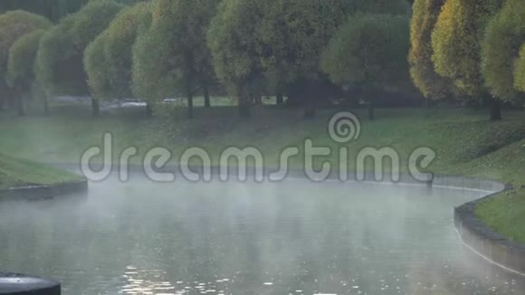 早晨在秋河上的雾视频的预览图