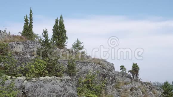 石坡配松树视频的预览图