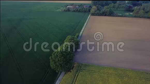 空中镜头电影中速轨道和揭示无人机拍摄的树木在日落的田野中间视频的预览图