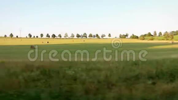 火车上的草地和视野视频的预览图