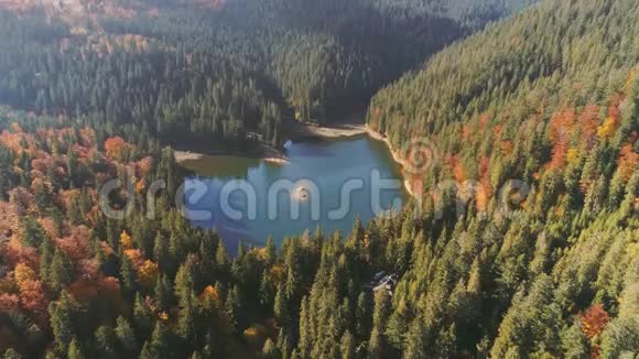 密林环抱的山湖奇观视频的预览图