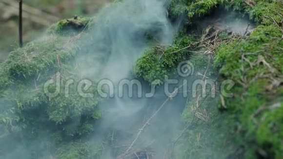 浓密的烟雾从树林中的苔藓下冒出森林火灾自然灾害视频的预览图