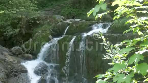 快速流动的高山瀑布视频的预览图