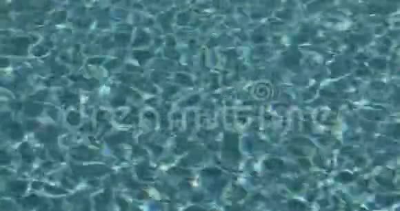 淡水泳池水4k循环影院视频的预览图