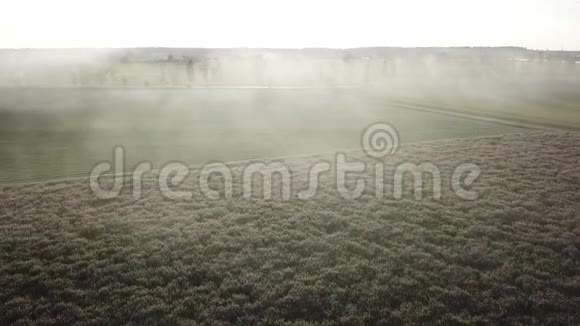 雾蒙蒙的郊区早晨从上面看到现场视频的预览图