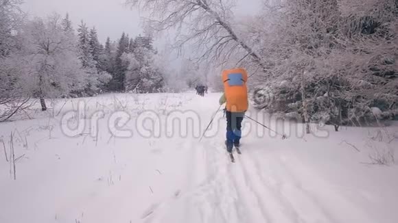 滑雪者滑雪越野小组冬季滑雪滑雪快乐组视频的预览图