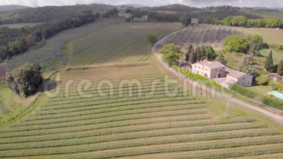 空中射击美丽的意大利托斯卡纳和它的葡萄园在有田地的框架农场里视频的预览图
