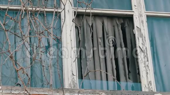 旧废弃的窗户的外部有干树枝和破烂的窗帘视频的预览图