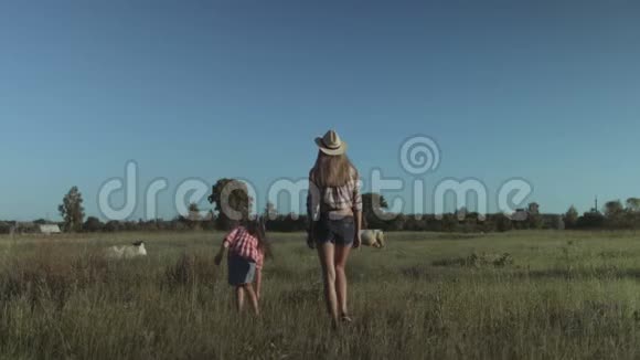 欢乐的一家人走在夏日的田野里视频的预览图