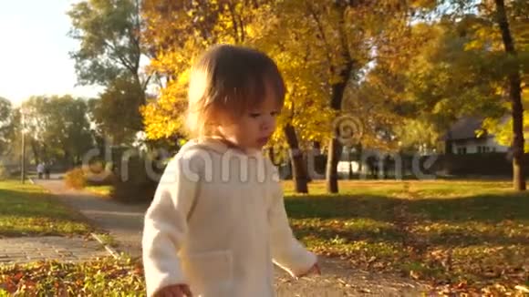 小宝宝在秋天的公园里跑来跑去笑着玩秋叶视频的预览图