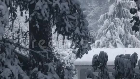 冬季午后大雪时花园棚顶视频的预览图