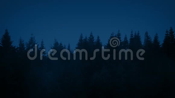 薄雾之夜的一排树木视频的预览图