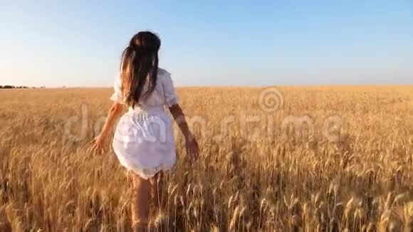 穿着白色连衣裙的黑发女孩跑过成熟的麦田慢悠悠地走着视频的预览图