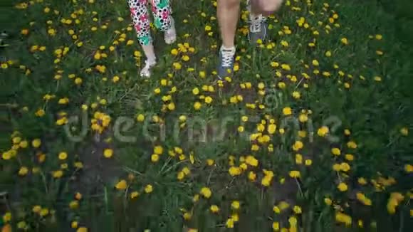儿童和年轻妇女在黄色蒲公英上行走的腿的俯视图视频的预览图