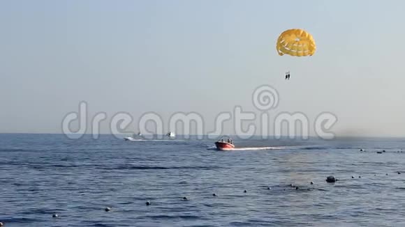 在阳光明媚的一天一艘摩托艇在海上拖着降落伞在滑翔伞视频的预览图