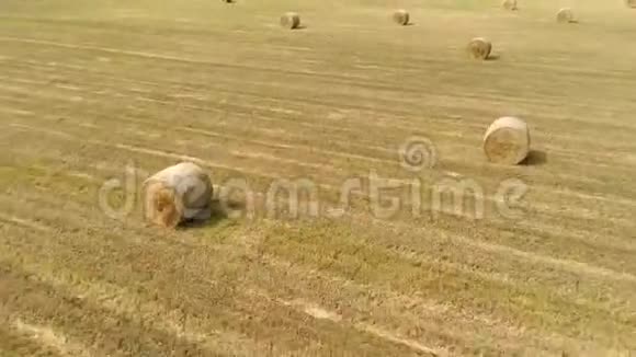 空中景色在收割小麦后将干草堆稻草卷在田野上医生的录像视频的预览图