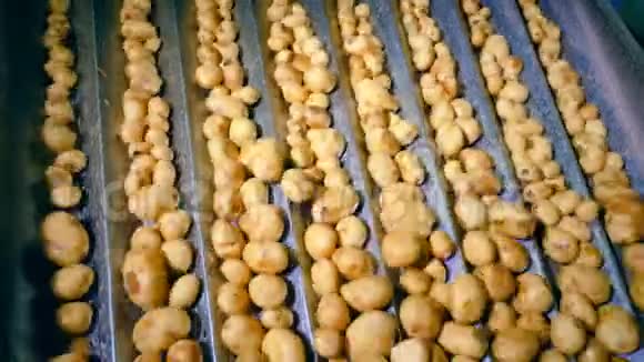 马铃薯在工厂生产线上移动以便在工厂进行切割视频的预览图