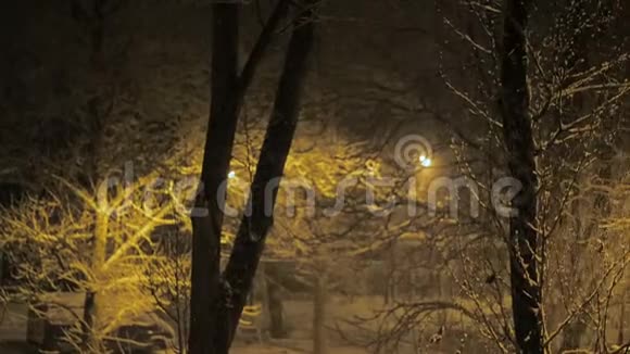 夜晚的住宅院子里覆盖着雪下雪了视频的预览图