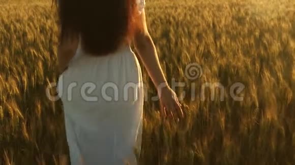 女人带着金色的小麦穿过田野美丽的女孩走过一片成熟的小麦慢动作视频的预览图