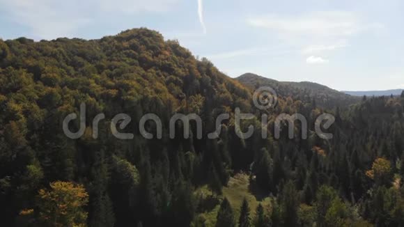 夏季覆盖喀尔巴阡山脉斜坡的高云杉树的空中拍摄视频的预览图