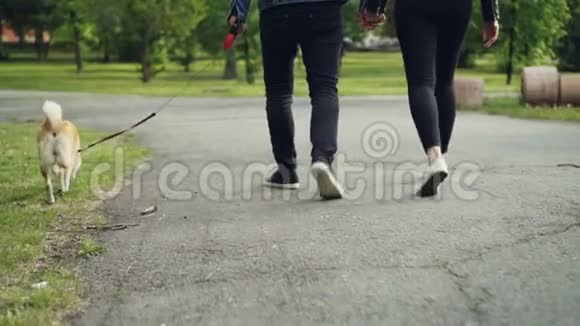 低镜头的人腿在公园散步与美丽的纯种狗享受散步在娱乐区路径视频的预览图