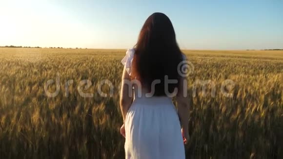 美丽的女孩走过一片成熟的小麦慢动作女人带着金色的小麦穿过田野天空视频的预览图