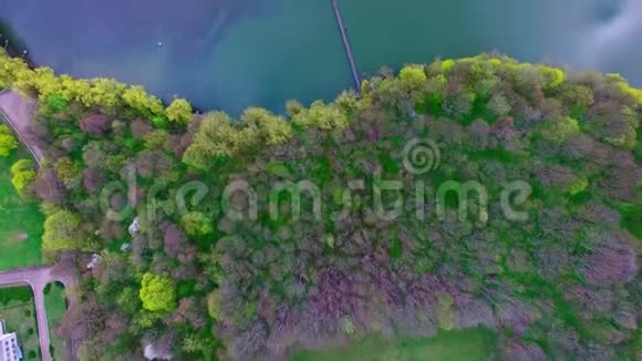 美丽的柳树和五彩缤纷的森林环绕着岛上的鸟瞰图视频的预览图