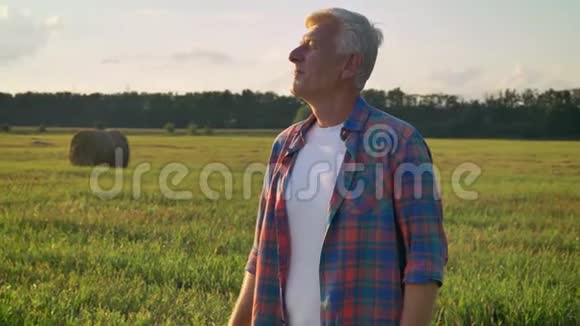 快乐的老农学家站在麦田上环顾四周的土地背景是美丽的乡村视频的预览图